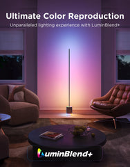 Govee Floor Lamp 3