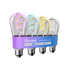 Govee ST19 Smart Edison Light Bulb E26 500lm